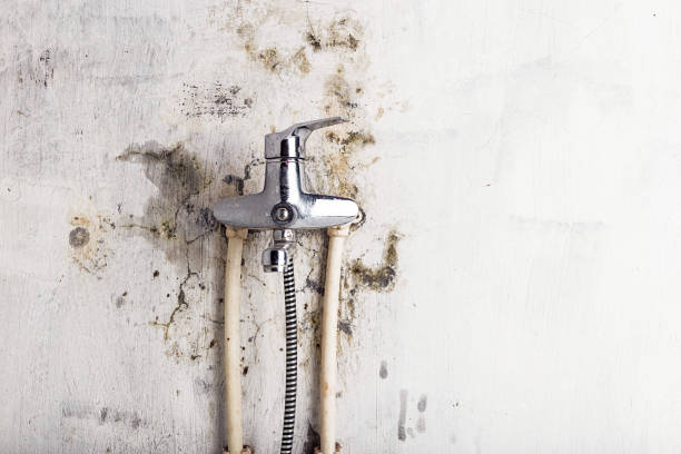Best Certified Mold Removal  in Schuylerville, NY