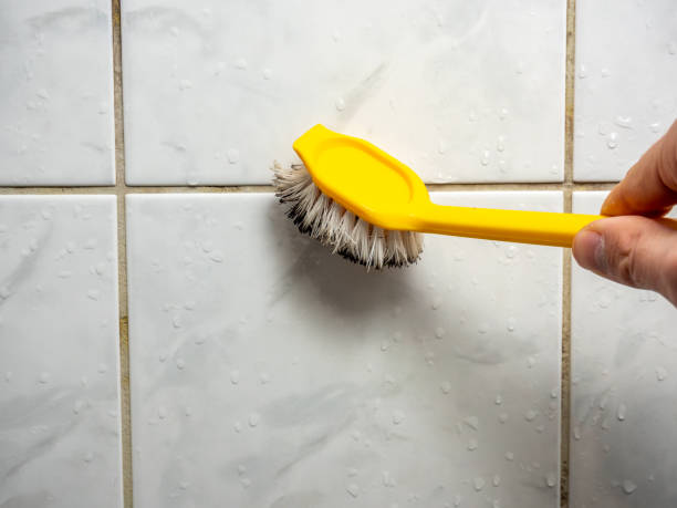 Best Toxic Mold Removal  in Schuylerville, NY